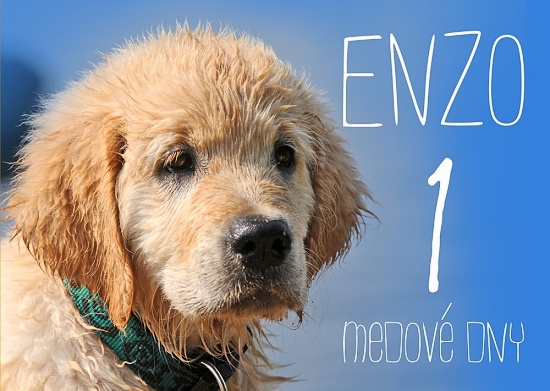 ENZO - Medové dny 1